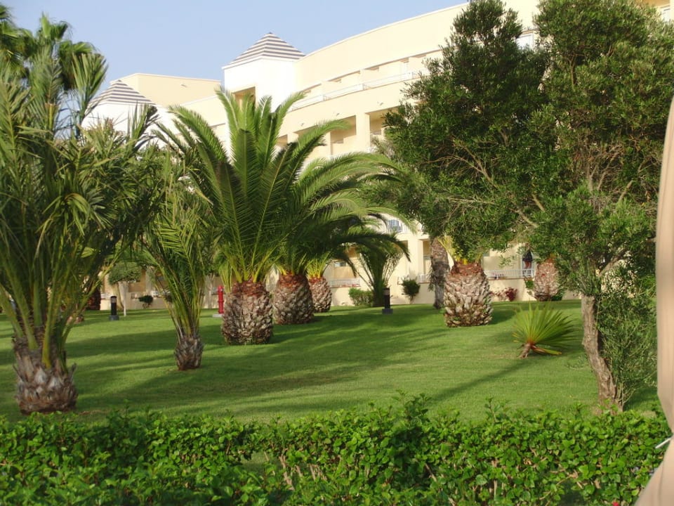 Blick in den Garten Hotel Riu Gran Canaria