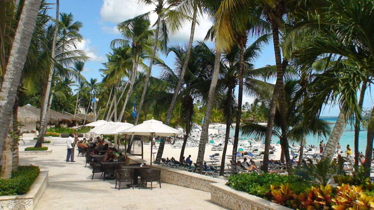 Plaza und Hotelstrand Hotel Viva Dominicus Beach by Wyndham - All Inclusive Resort