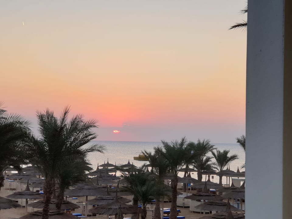 Ausblick Beach Albatros Resort