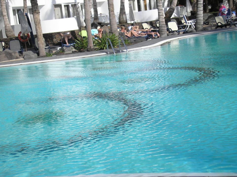 Schöner, sauberer Pool Hipotels La Geria