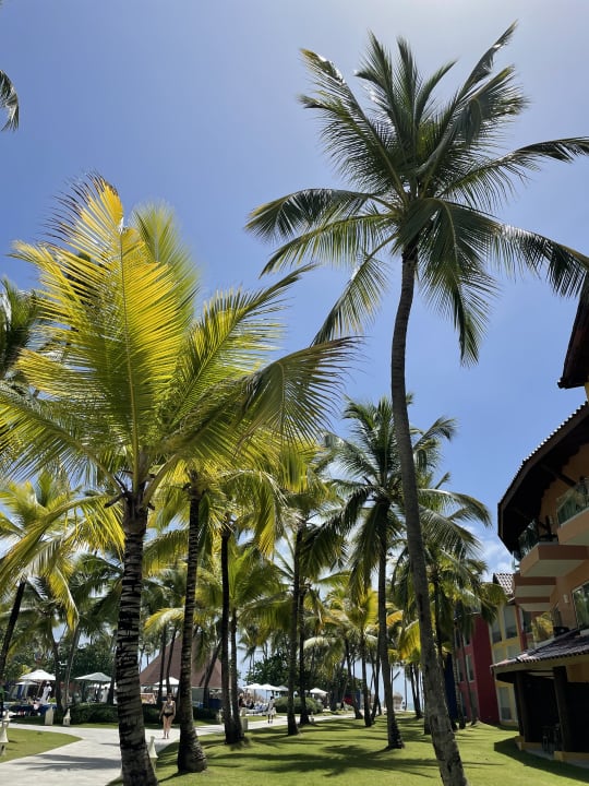 Gartenanlage Caribe Deluxe Princess