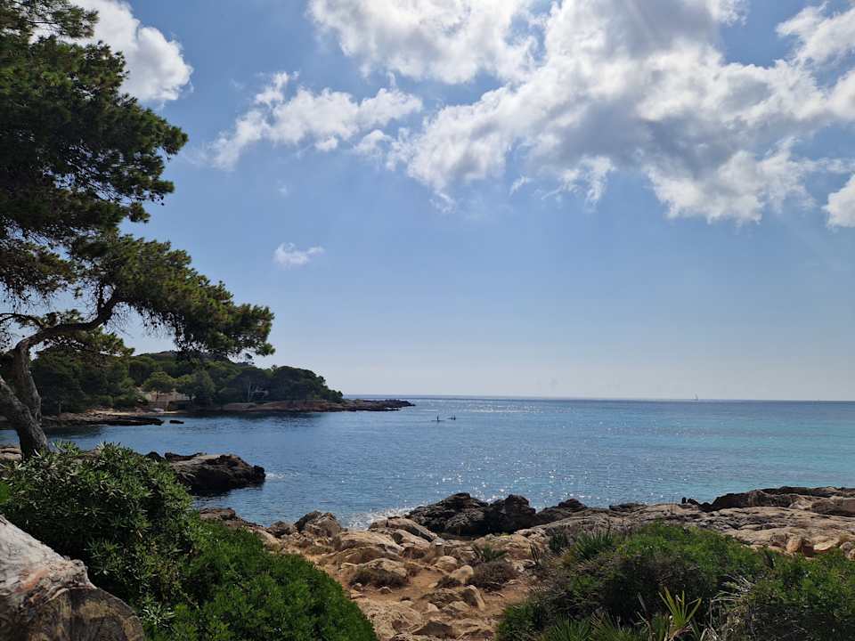 Ausblick Iberostar Waves Pinos Park