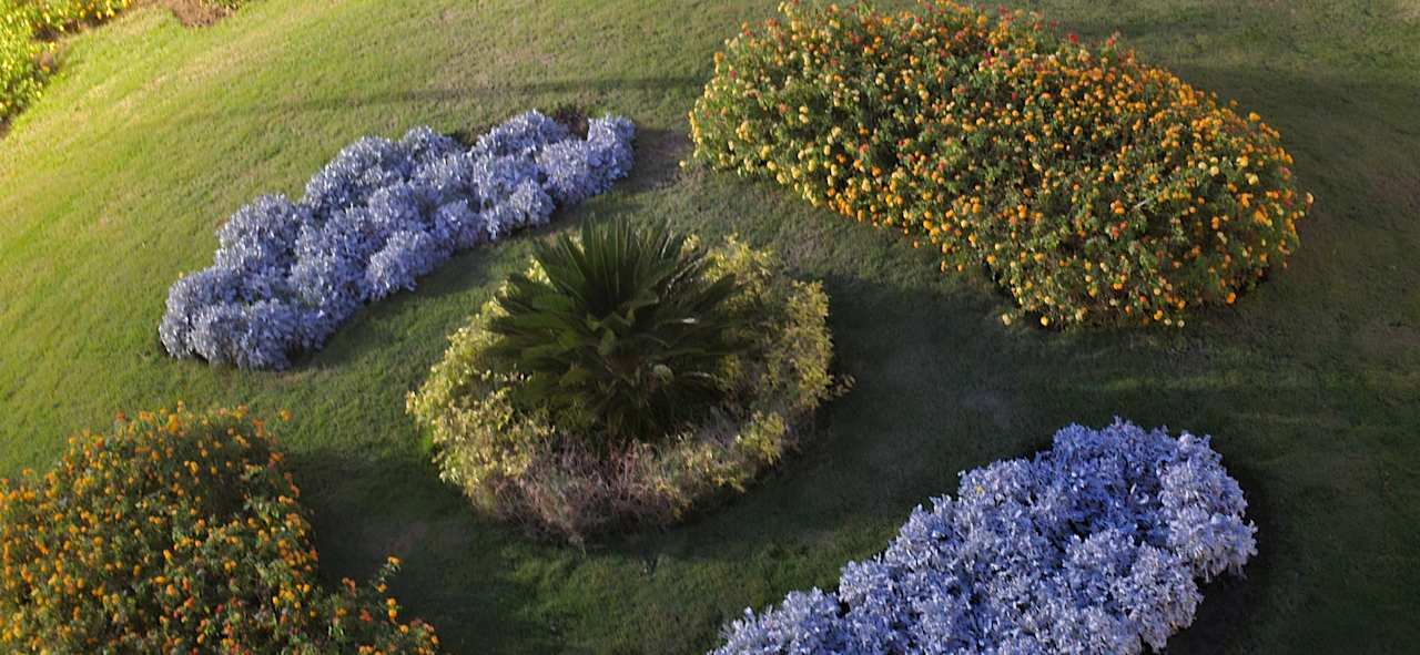 Gartenanlage Pickalbatros Oasis Hotel - Port Ghalib