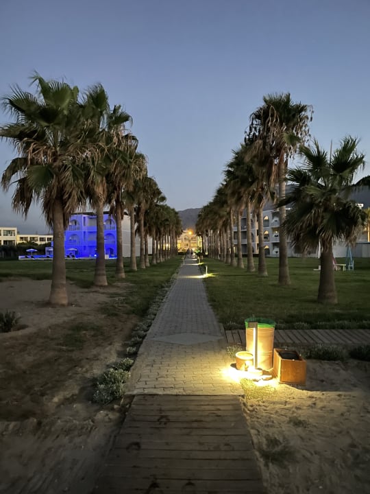 Gartenanlage Delfina Tropic Beach