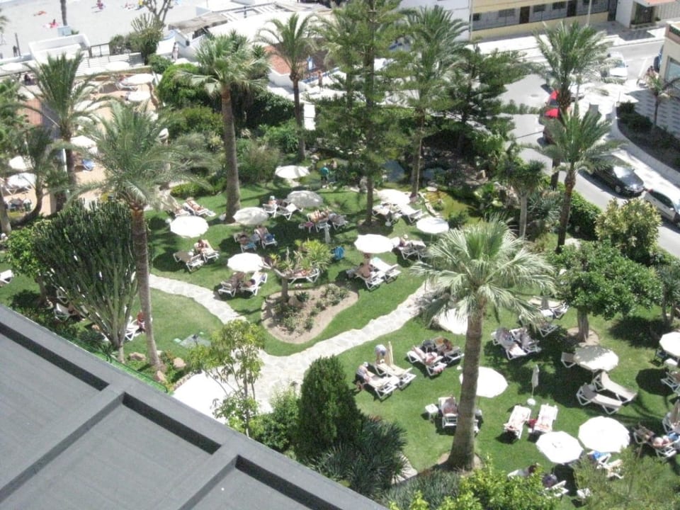 Hotelpark/Liegewiese Hotel Riu Monica - Adults only