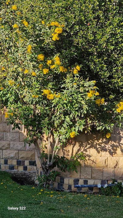 Gartenanlage Sentido Caribbean World Soma Bay
