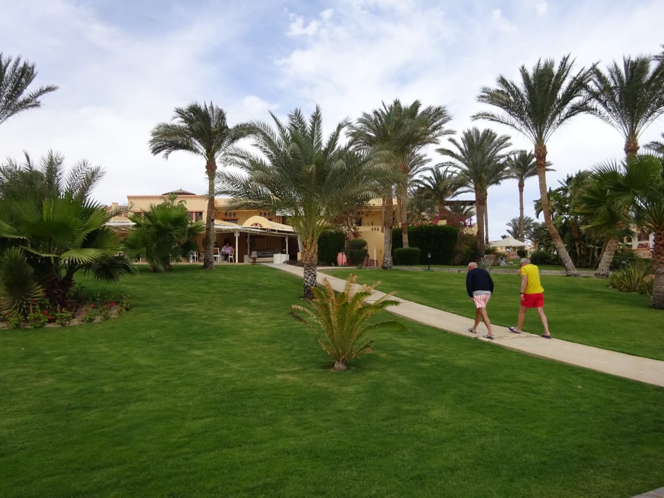 Gartenanlage Steigenberger Coraya Beach - Adults only