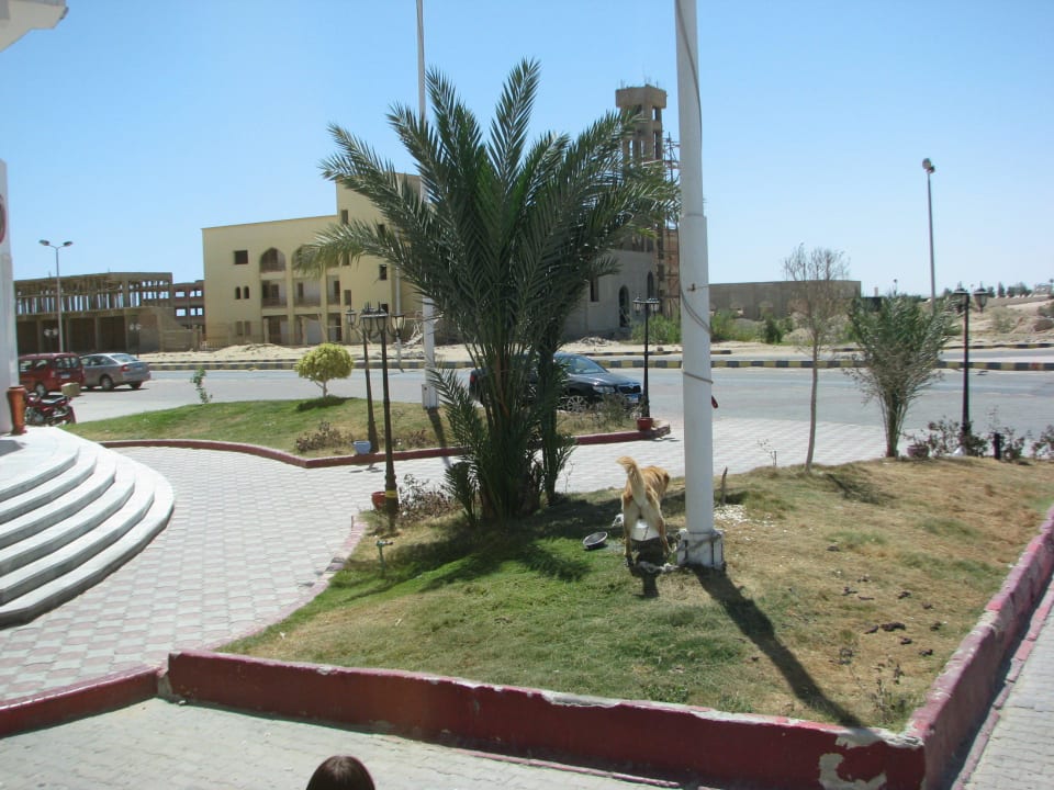 Hotel Stella Makadi Gardens Stella Garden Resort & Spa, Makadi Bay