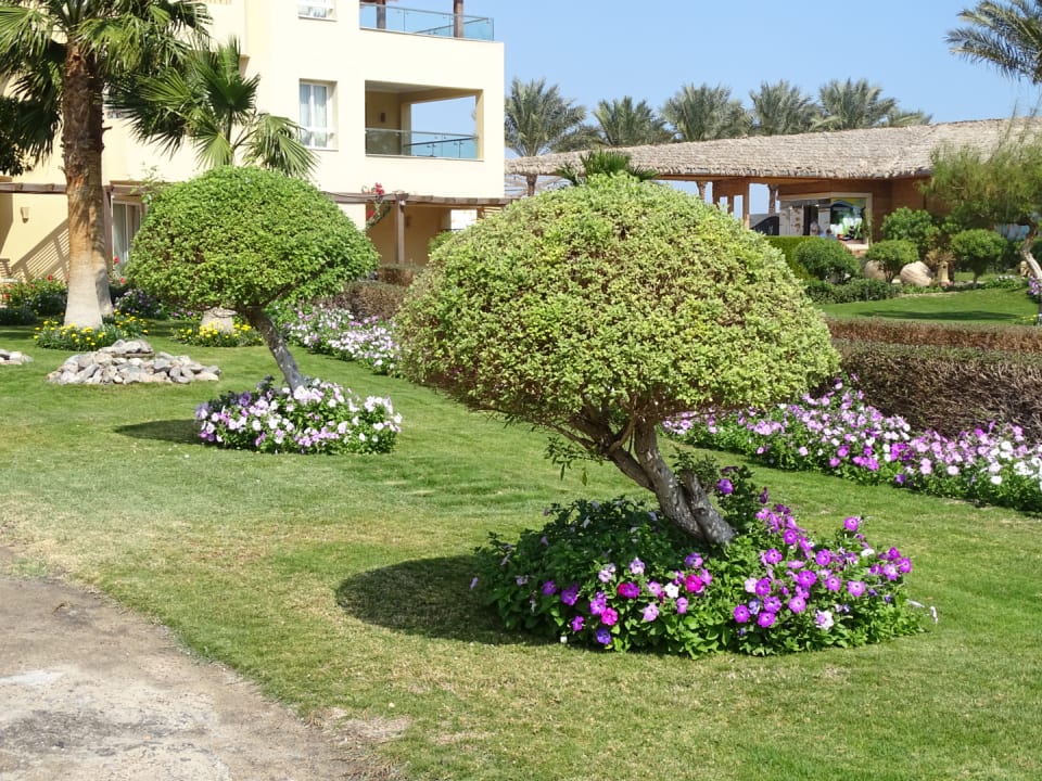 Gartenanlage Amwaj Beach Club Abu Soma Resort