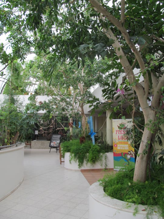 Market Dome Innen Center Parcs Park Zandvoort