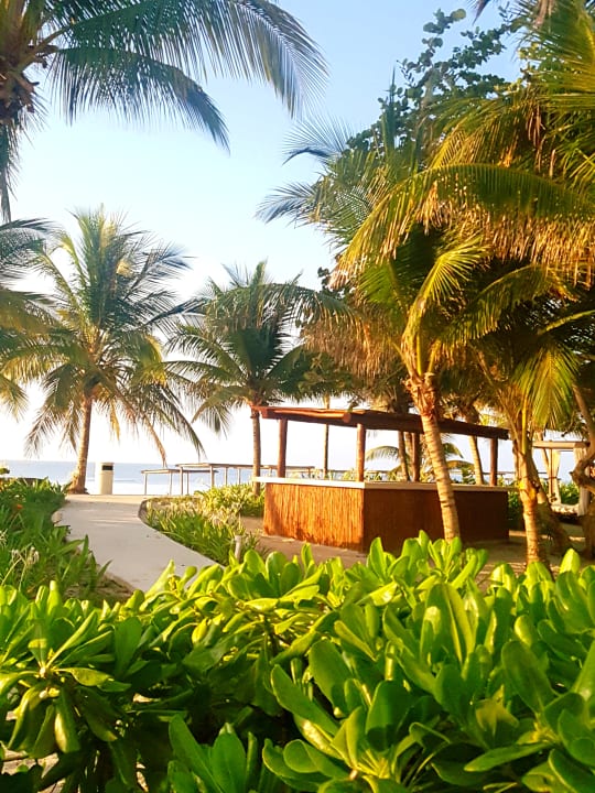 Gartenanlage Akumal Bay Beach & Wellness Resort