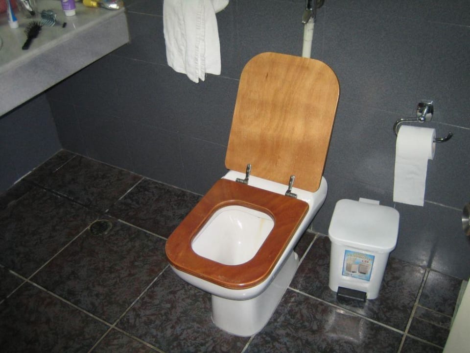 unhygienischer Toilettendeckel aus Holz HARPIN Georgioupolis Resort Aquapark & SPA