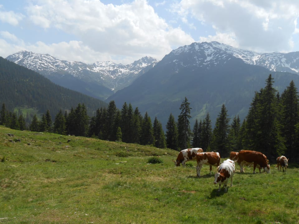 Sonstiges Hotel Friedheim