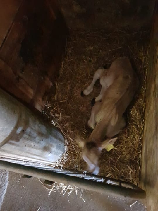 Sonstiges Der Brunnerhof