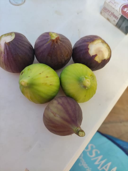 Gastro Seaden Sea World Resort & Spa