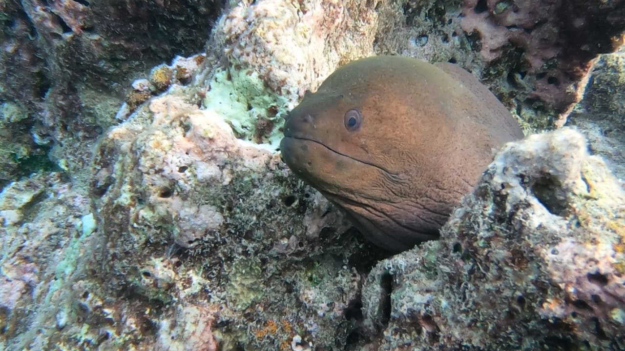 Sport & Freizeit NH Collection Maldives Reethi Resort