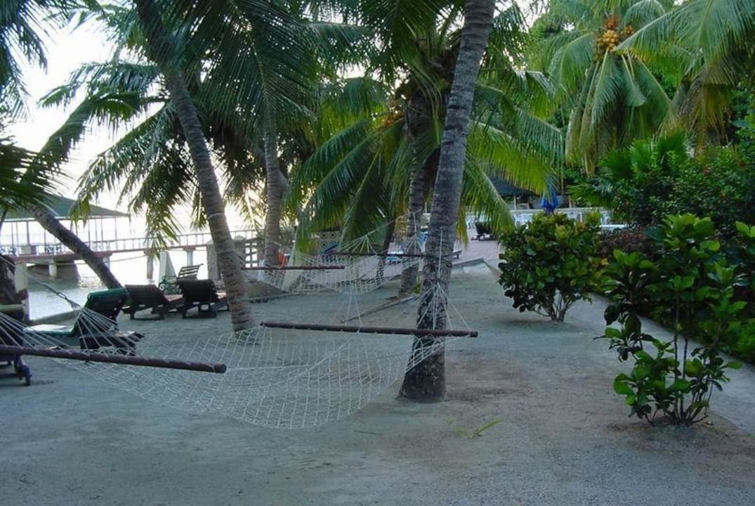 Hotelstrand - Naja! The Coco de Mer Hotel & Black Parrot Suites