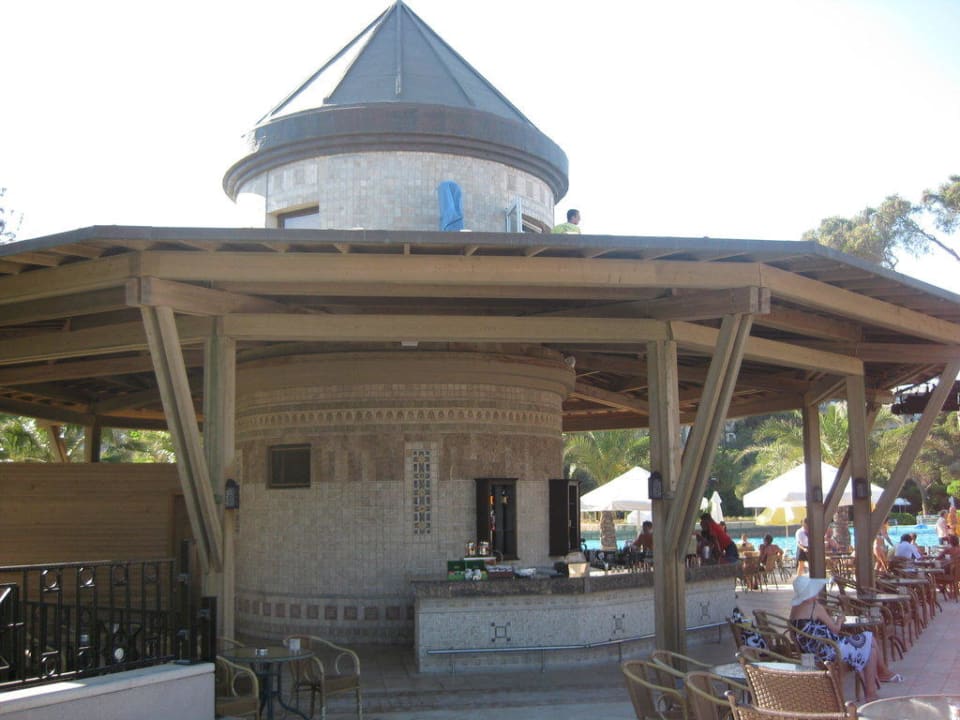 Poolbar Papillon Ayscha