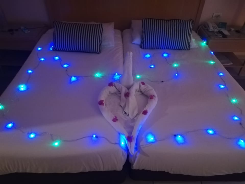 Zimmer Hotel JAZ Makadi Star & Spa