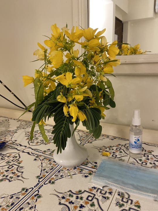 Sonstiges Lotus Bay Beach Resort