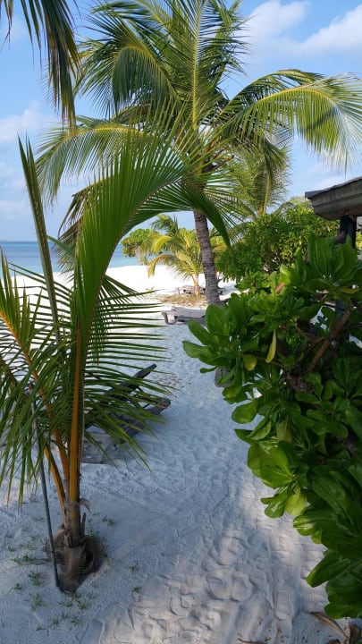 Ausblick von unserer Beachvilla Kuredu Island Resort & Spa