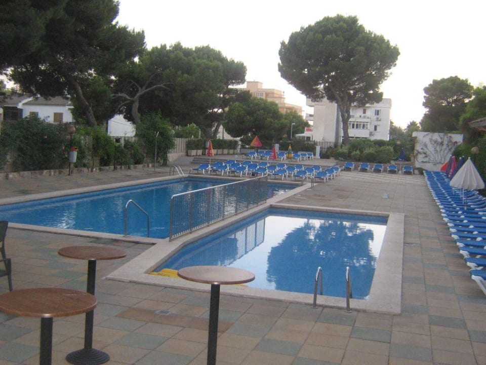 Pool  Hotel Timor