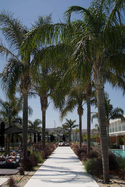 Gartenanlage Hotel D'Andrea Lagoon All Suites