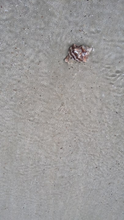 Strand Hotel Sangho Club Zarzis