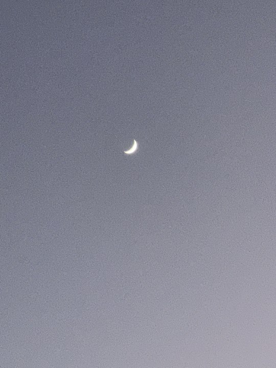 Ausblick Jaz Makadi Oasis Resort