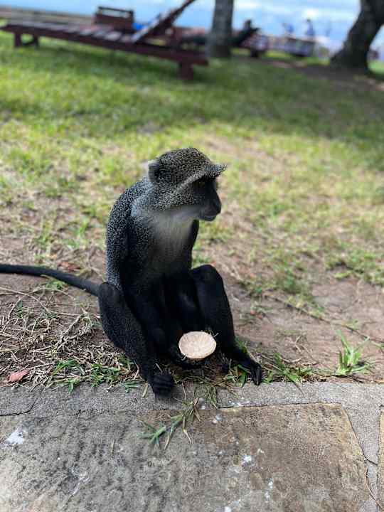 Gartenanlage Neptune Village Beach Resort & Spa