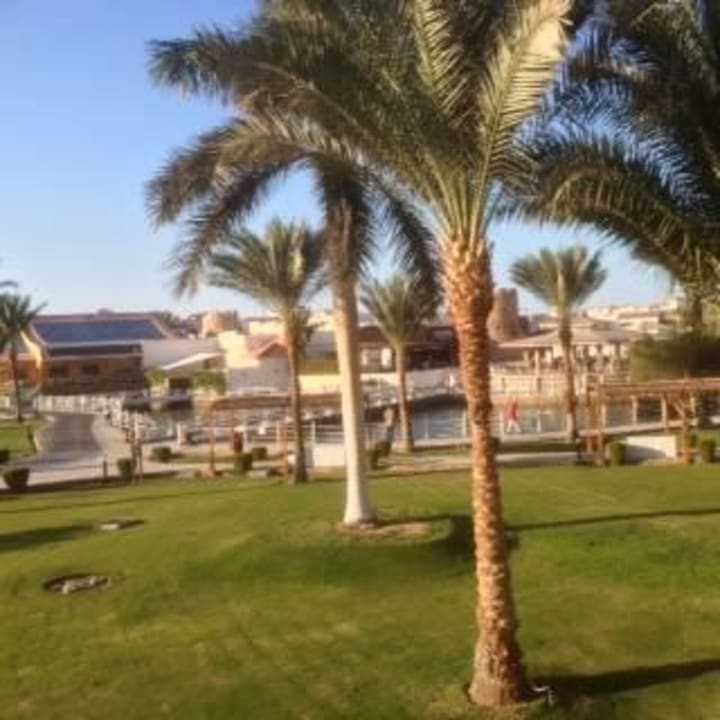 Gepflegt und sauber Pickalbatros Dana Beach Resort - Hurghada