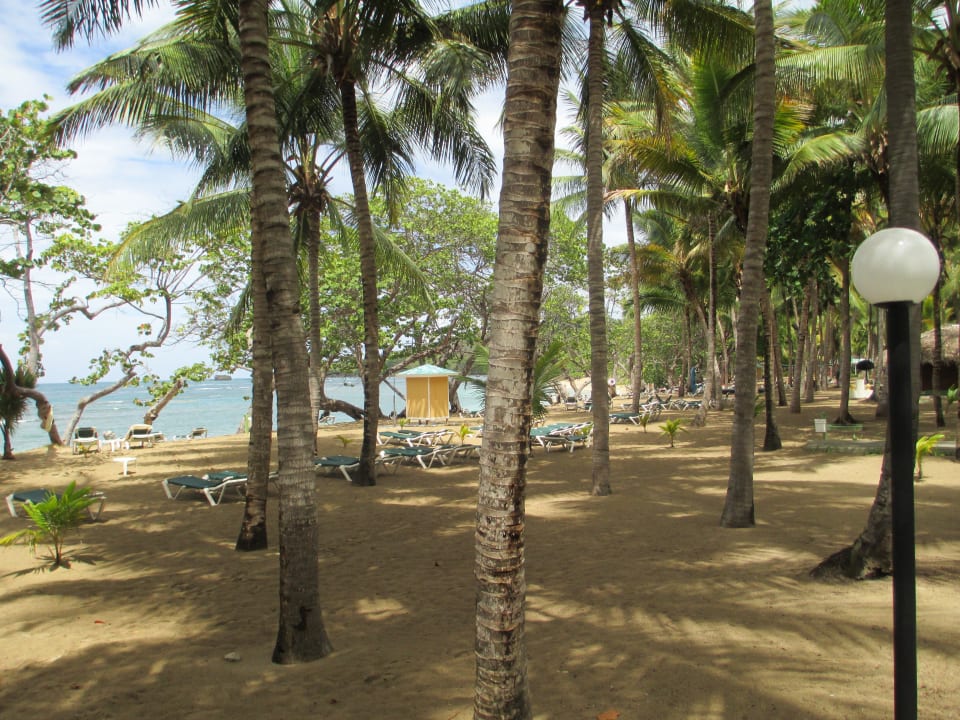 Strand Playabachata Hotel