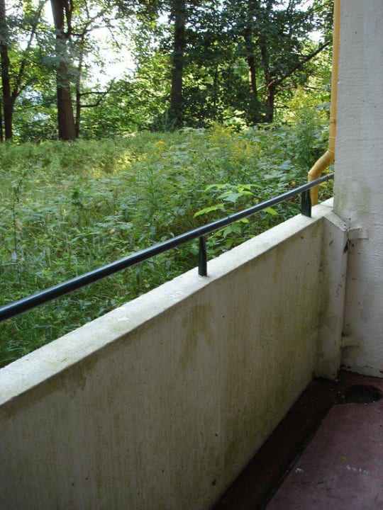 Außenanlage Rückseite Hotel Seegarten