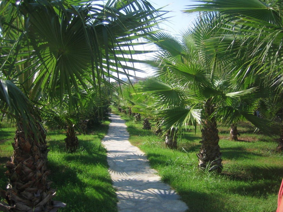 Weg zum Strand Club Grand Side