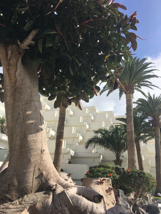 Außenansicht Paradisus by Meliá Salinas Lanzarote