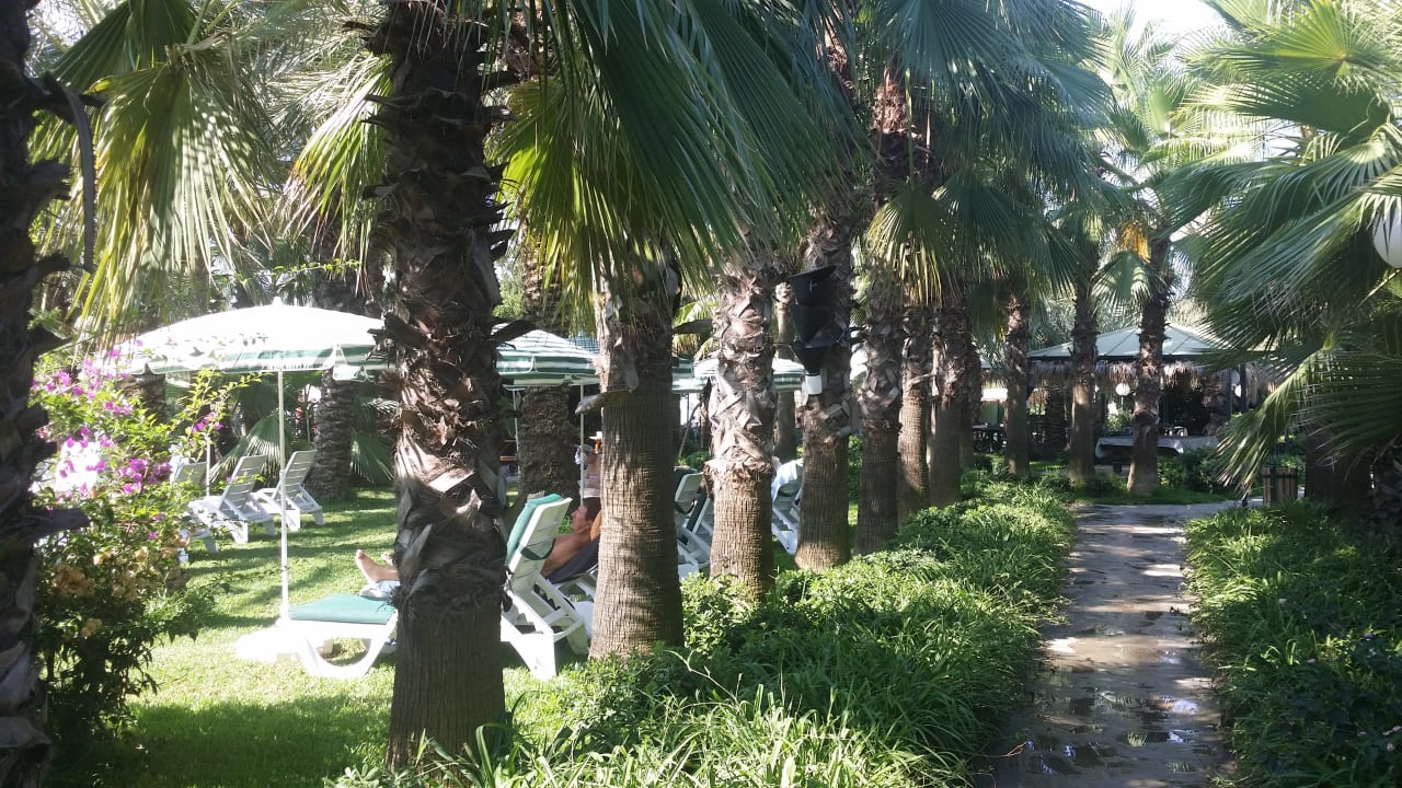 Gartenanlage Hotel Yetkin