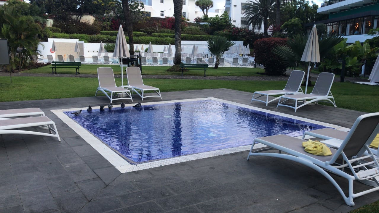 Pool TRH Taoro Garden