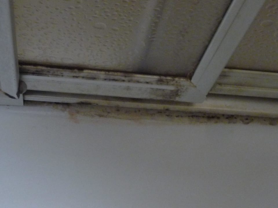 Dusche Hotel Schwabenwirt