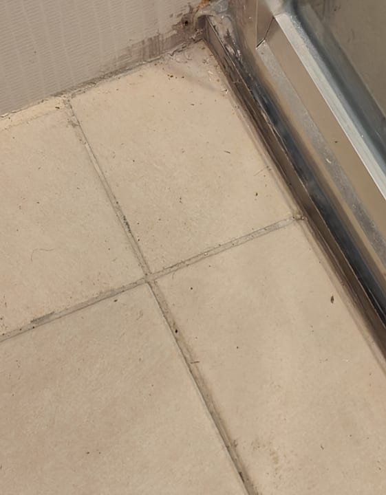 Zimmer Kamelya Aishen Club