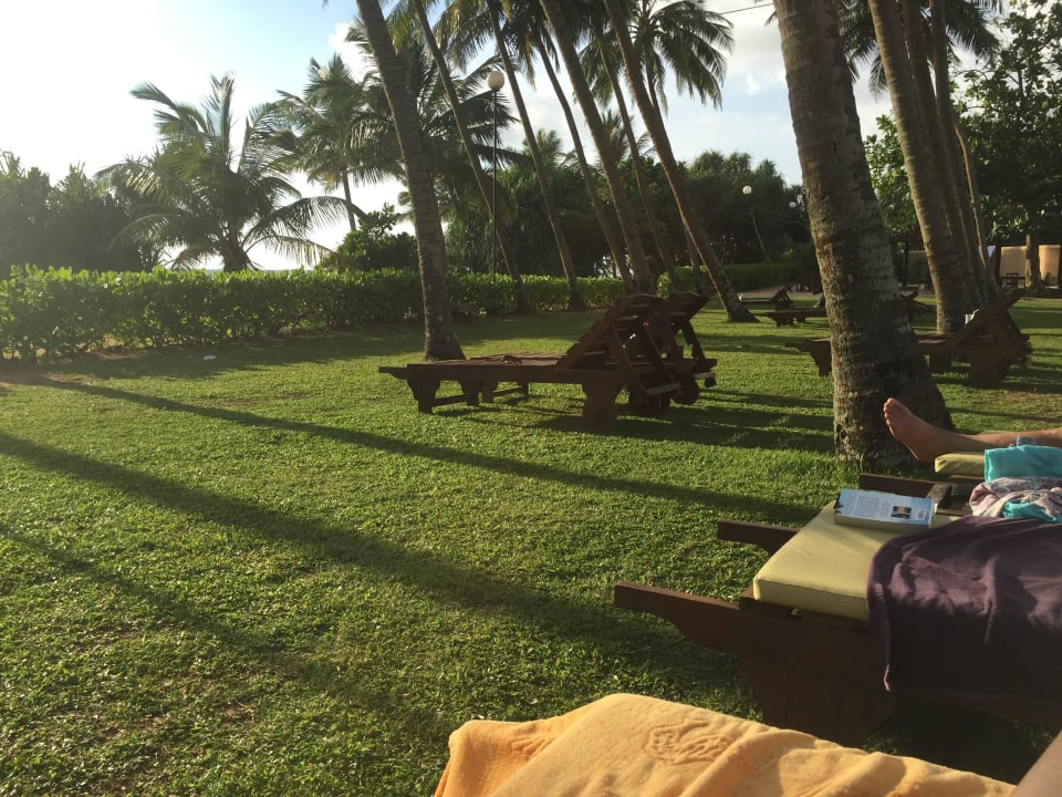 Genug Liegen Thaala Bentota