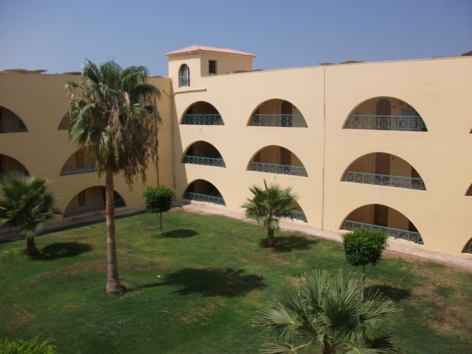 Innenhof Desert Rose