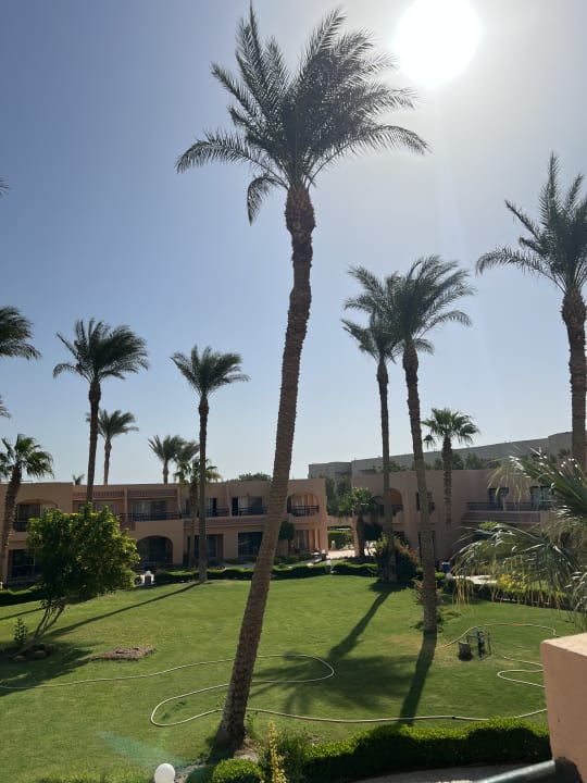 Ausblick Ali Baba Palace Resort