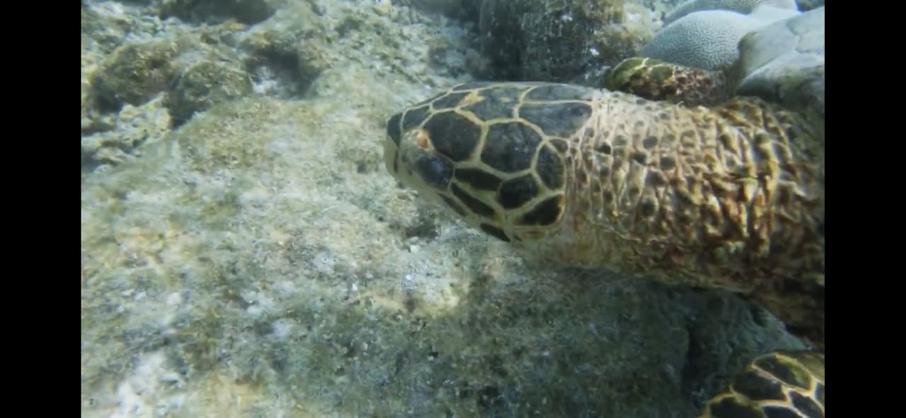 Sport & Freizeit Sun Siyam Olhuveli