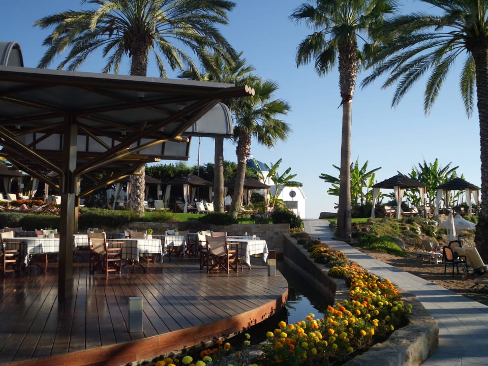 Terrasse TUI BLUE Pioneer Beach