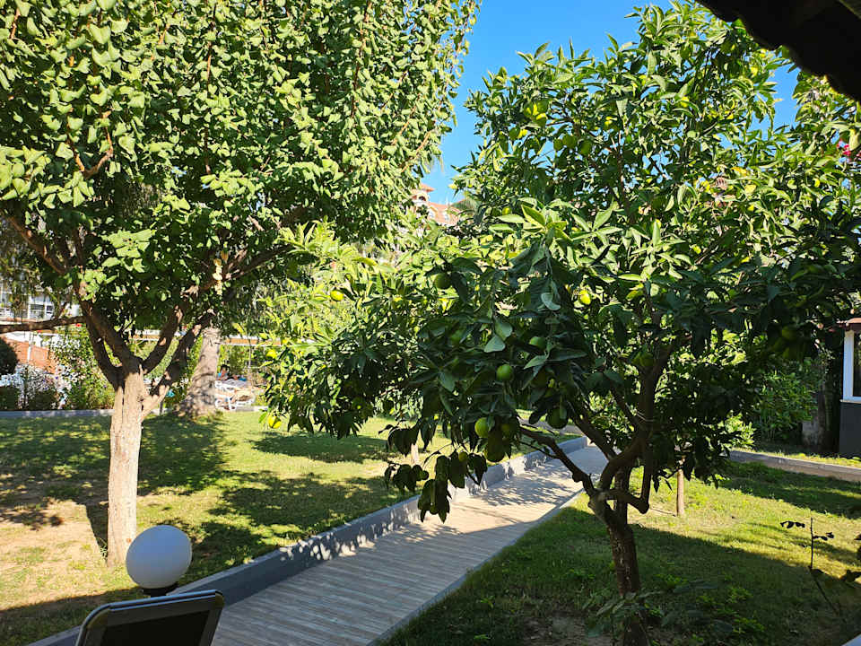 Gartenanlage Hotel Sidekum