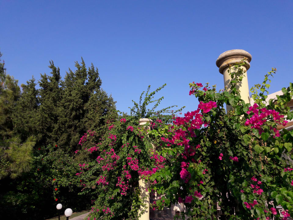 Sonstiges Hotel Kalithea Horizon Royal