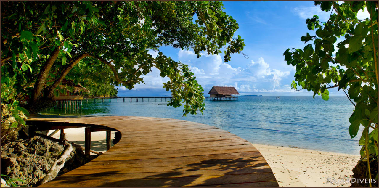 Außenansicht Raja4divers Resort