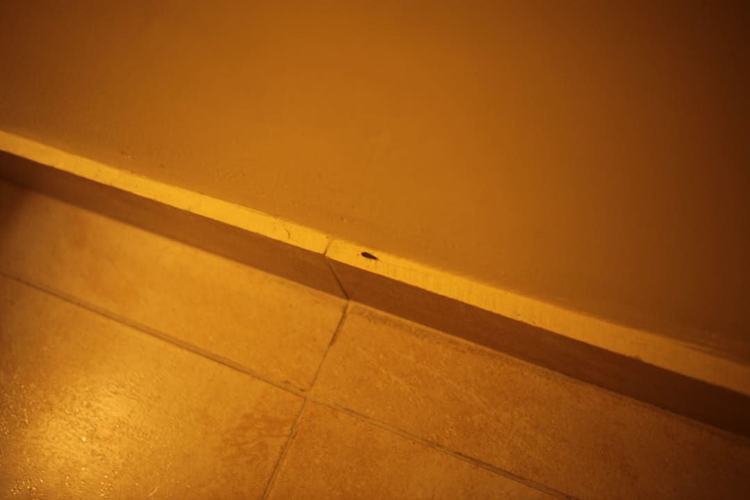 Silverfish Sol Cosmopolitan Rhodes