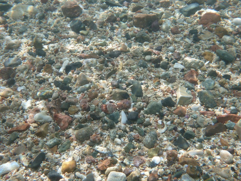 Glasklares Wasser Coral Sun Beach