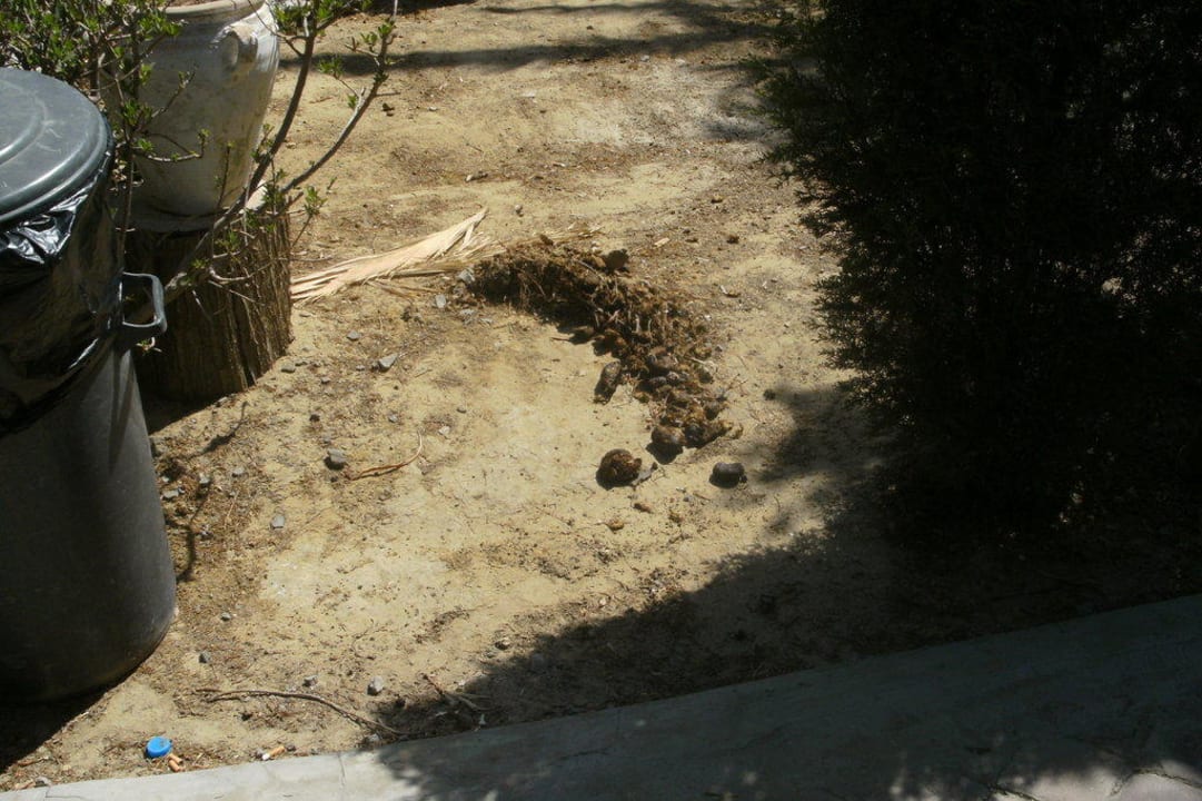 Eselsmist Royal Lido Resort & Spa